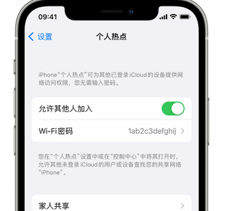 子洲apple服务站点分享iPhone上个人热点丢失了怎么办 