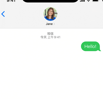 子洲apple维修iPhone上无法正常发送iMessage信息