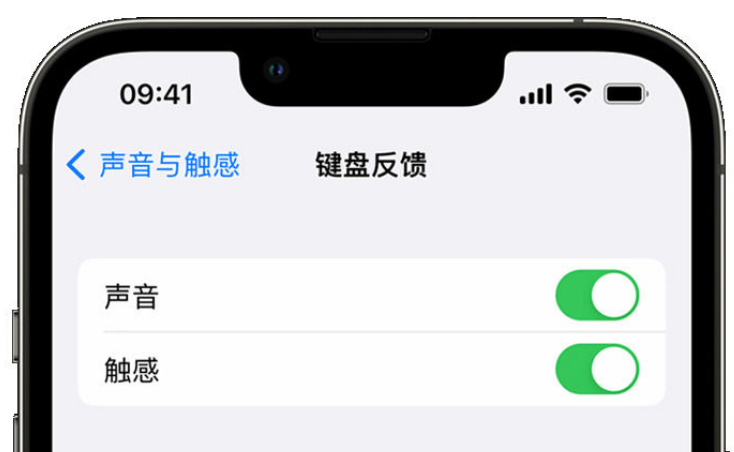 子洲苹果手机维修分享iPhone 14触感键盘使用方法 