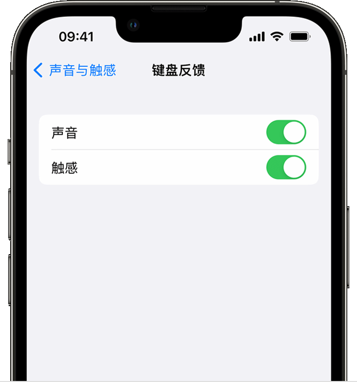 子洲苹果14维修店分享如何在 iPhone 14 机型中使用触感键盘 