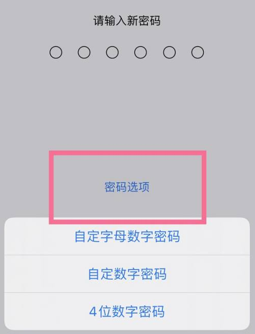 子洲苹果14维修分享iPhone 14plus设置密码的方法 