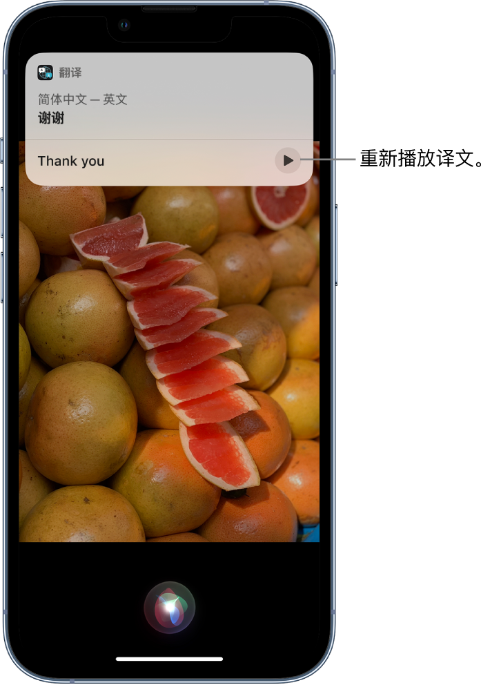 子洲苹果14维修分享 iPhone 14 机型中使用 Siri：了解 Siri 能帮你做什么 