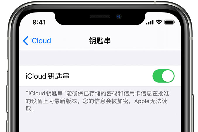 子洲苹果手机维修分享在 iPhone 上开启 iCloud 钥匙串之后会储存哪些信息 