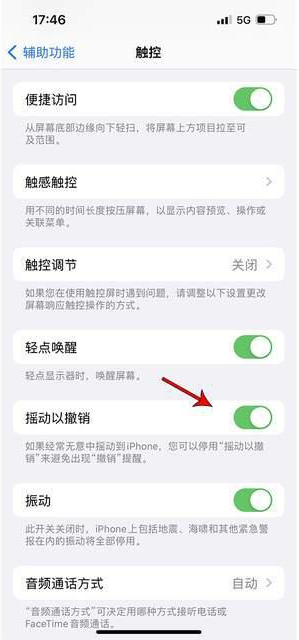 子洲苹果手机维修分享iPhone手机如何设置摇一摇删除文字 
